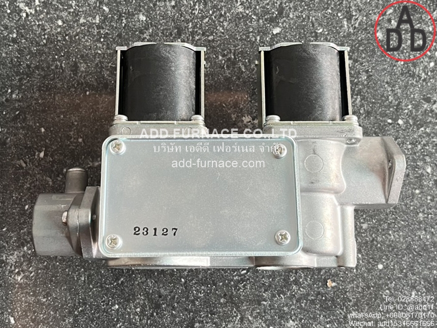 WS-102-100 AC200V (6)